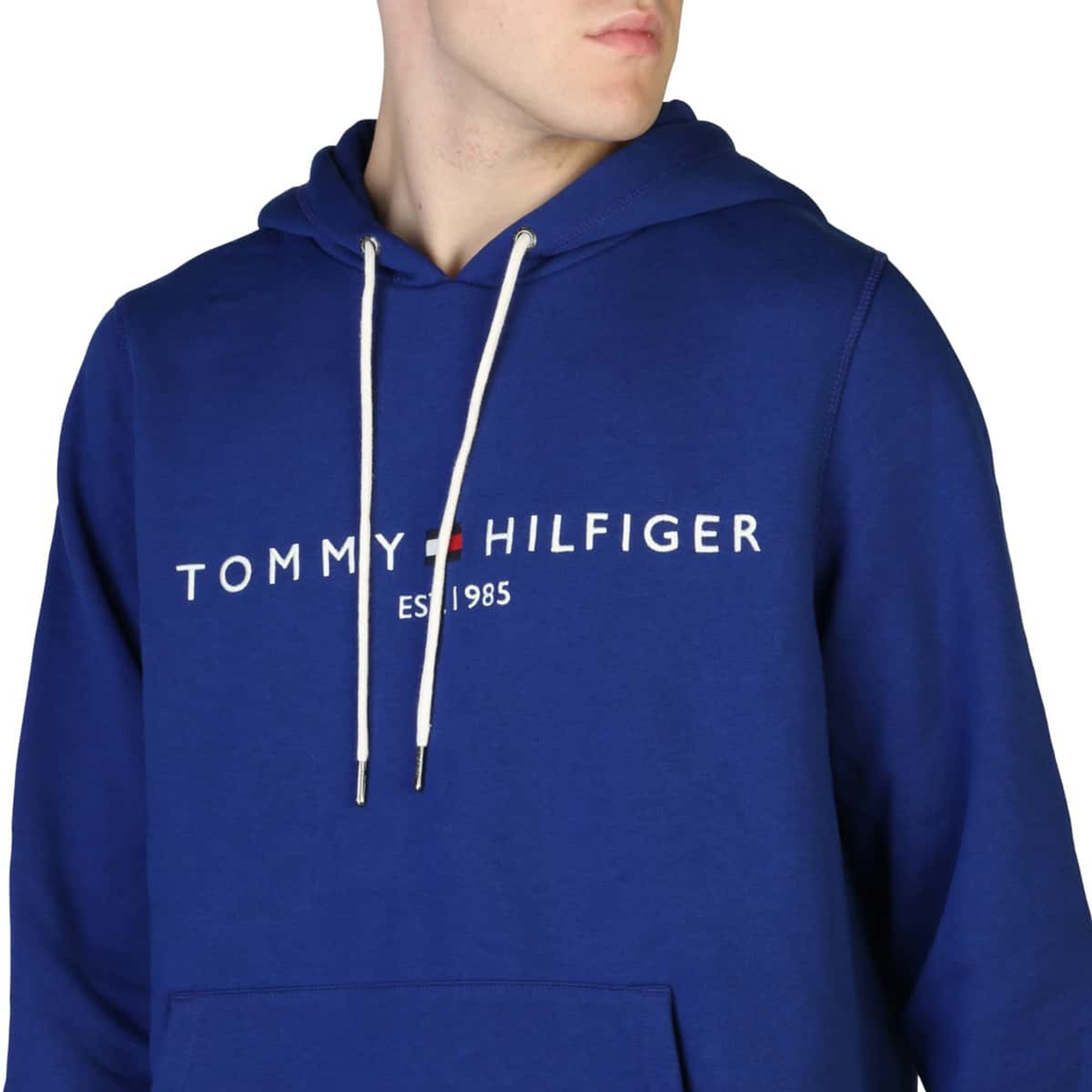 Tommy Hilfiger Sweatshirts - Fizigo